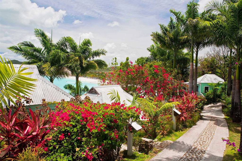Cocos Hotel Grounds