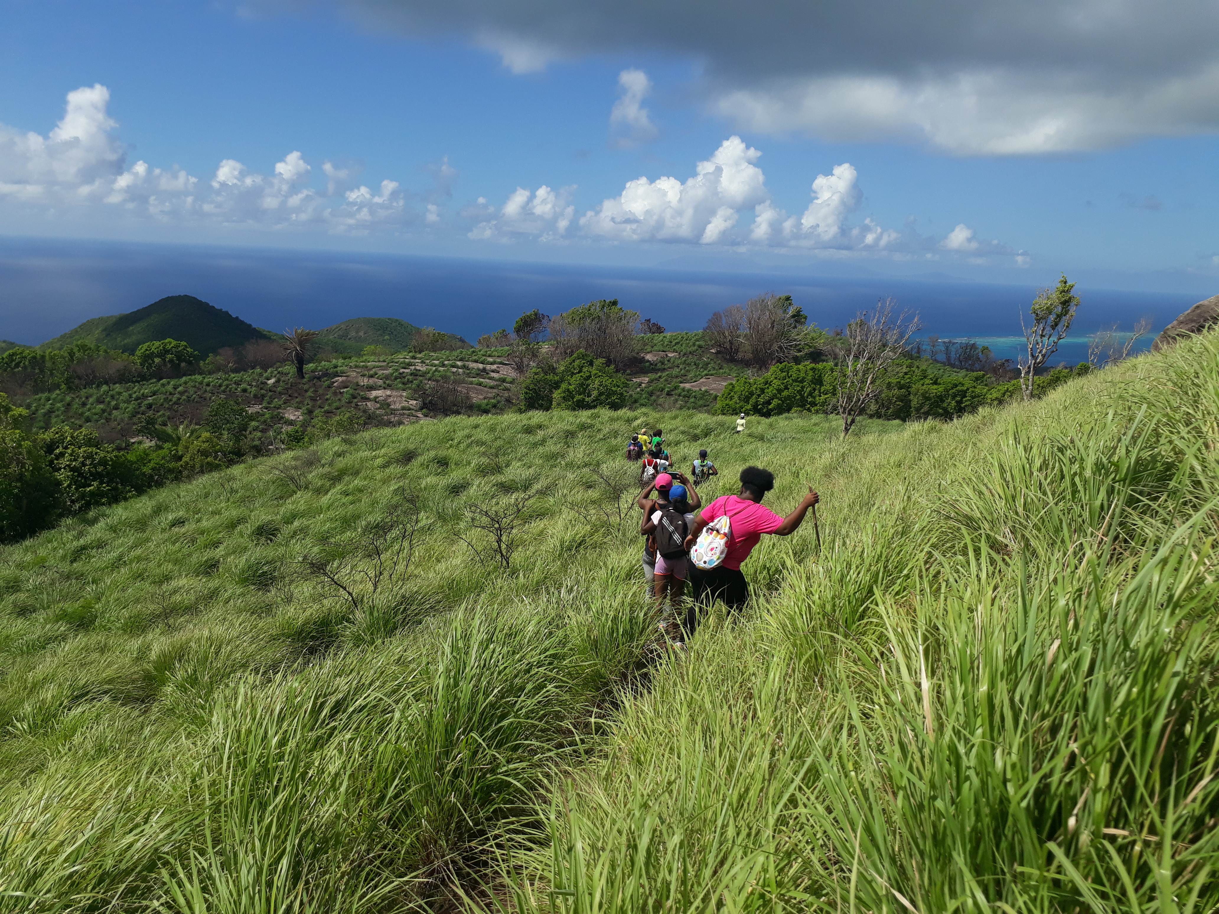 Wallings Nature Reserve Antigua