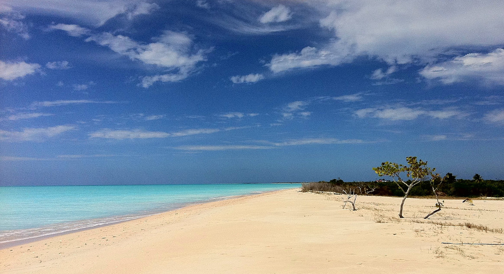 Spectacular Beaches in Barbuda