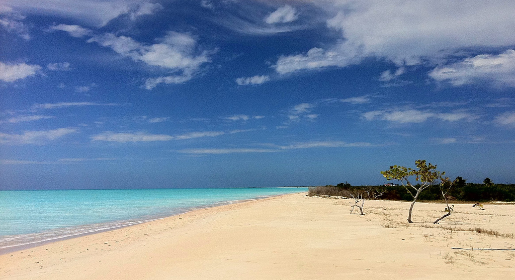 barbuda beach 1