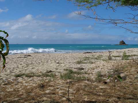 eden beach by carsten dohler