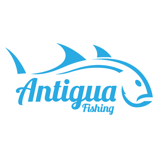 ANTIGUA: Island of Bonefish! Saltwater Fly Fishing with Capt. Nick