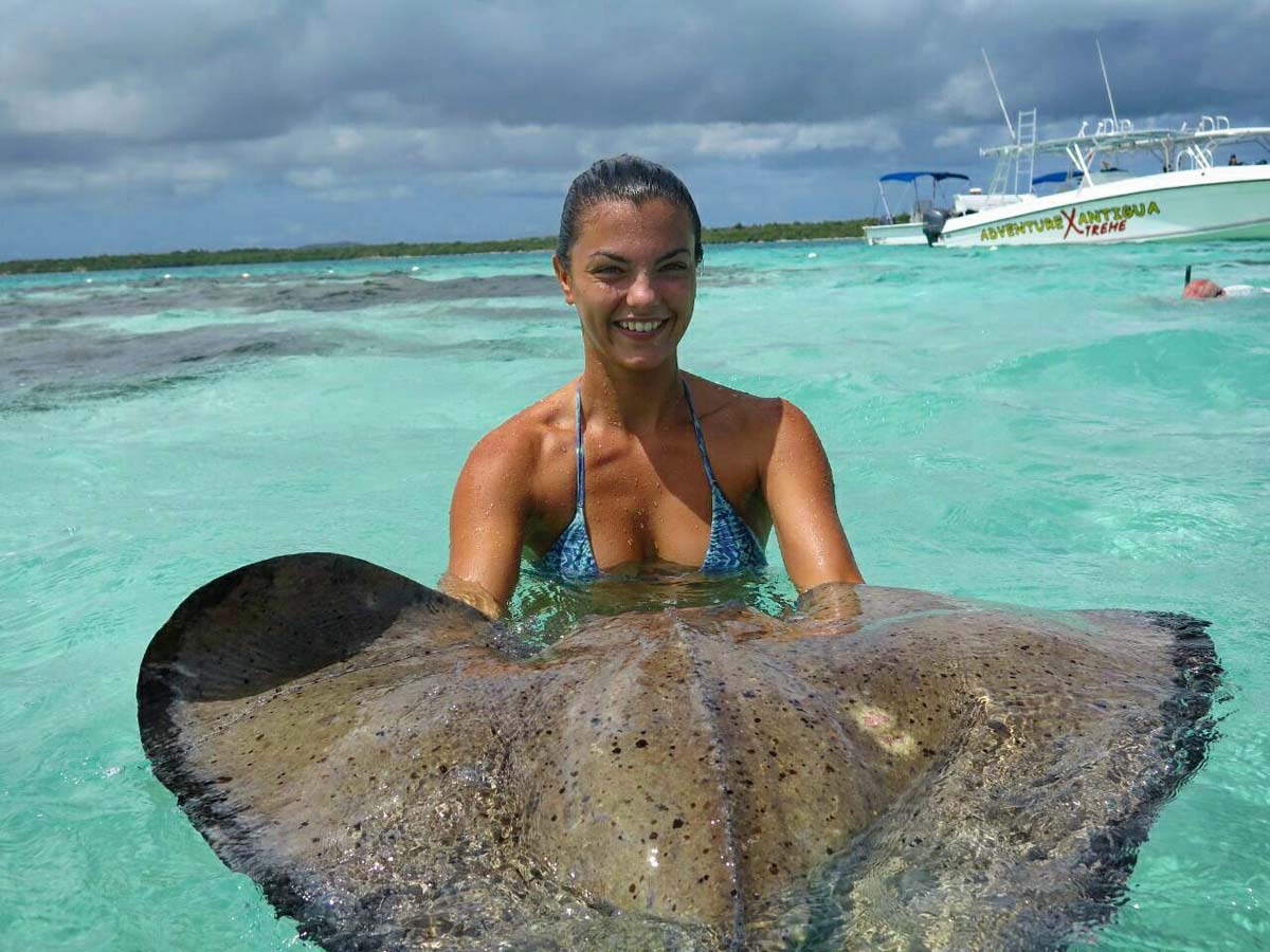 stingray experience antigua