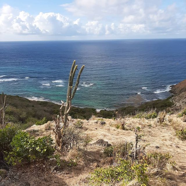 antigua coastal hike