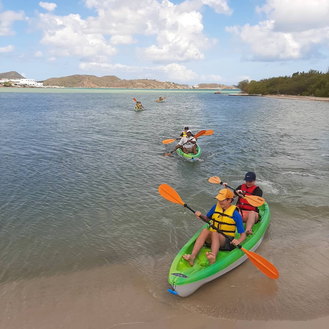 kayaking mangroves